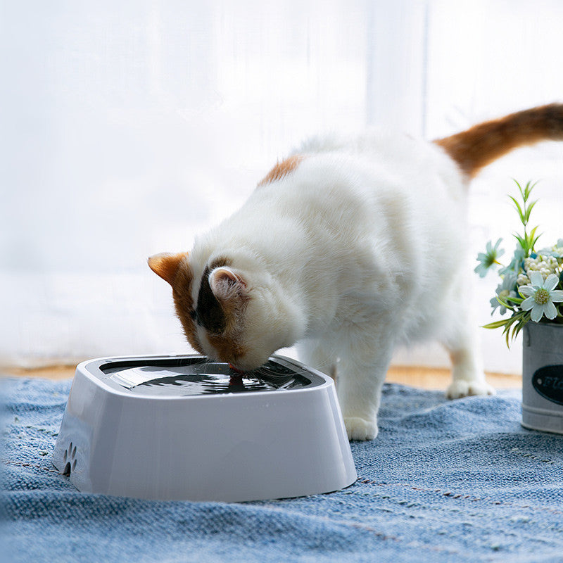 Cat Water Dispenser